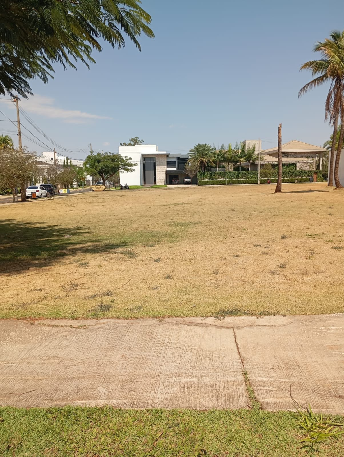 Lote vago amplo com grama podada
